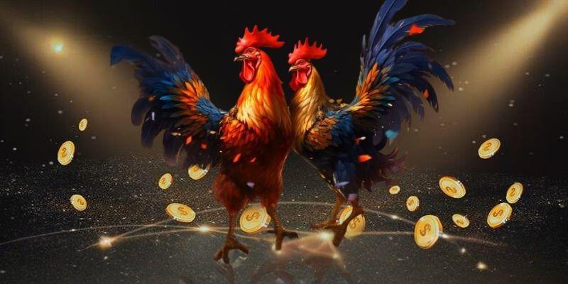 Hướng dẫn tham gia đá gà trực tuyến B52club